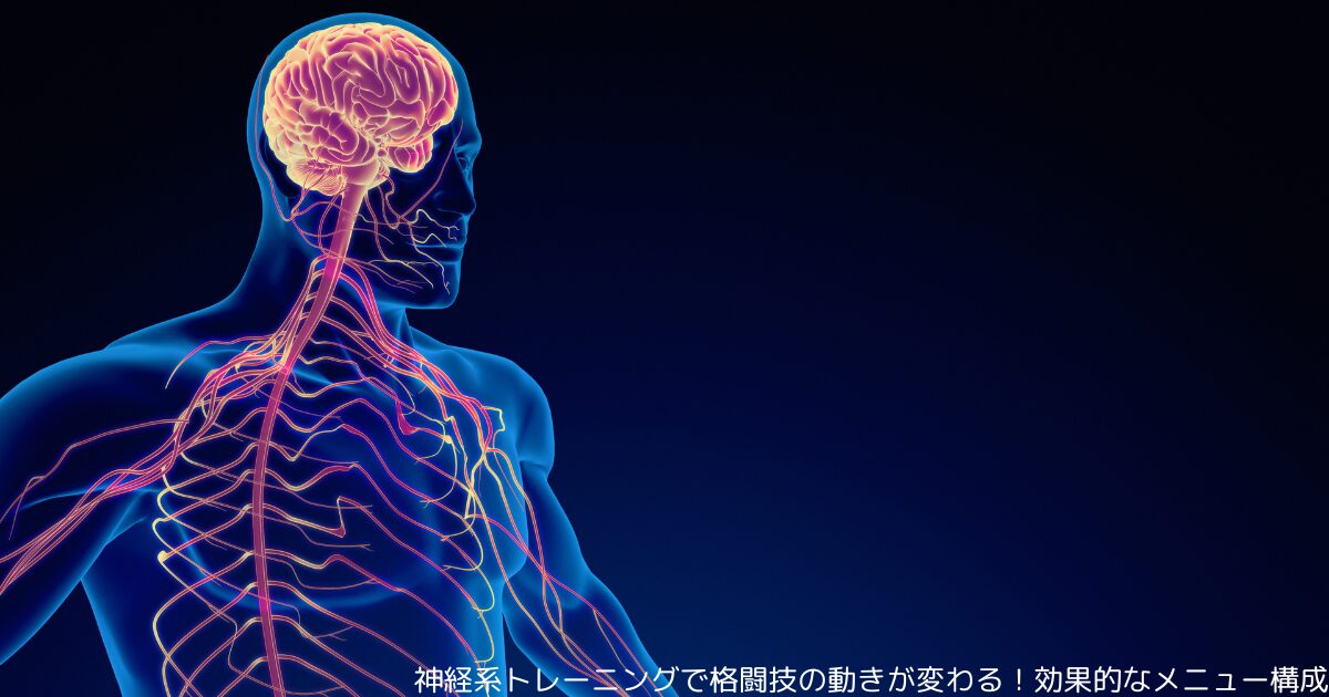 神経系トレーニングで格闘技の動きが変わる！効果的なメニュー構成