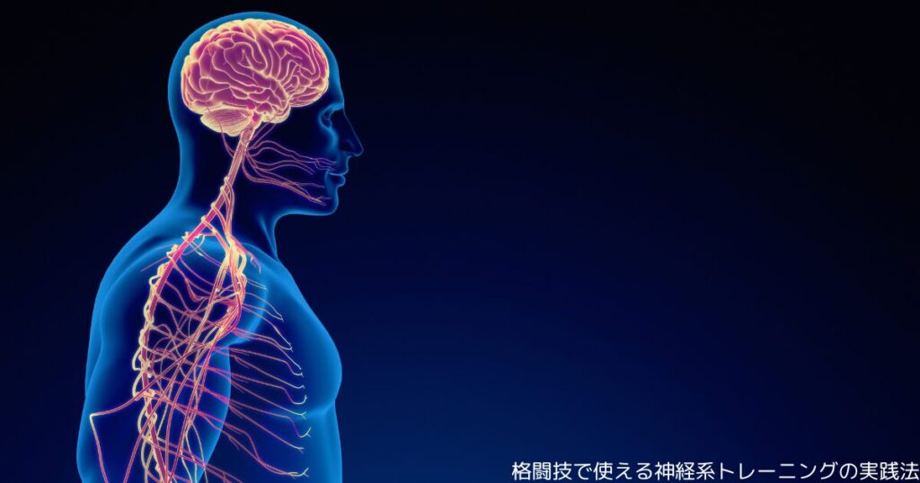 格闘技で使える神経系トレーニングの実践法